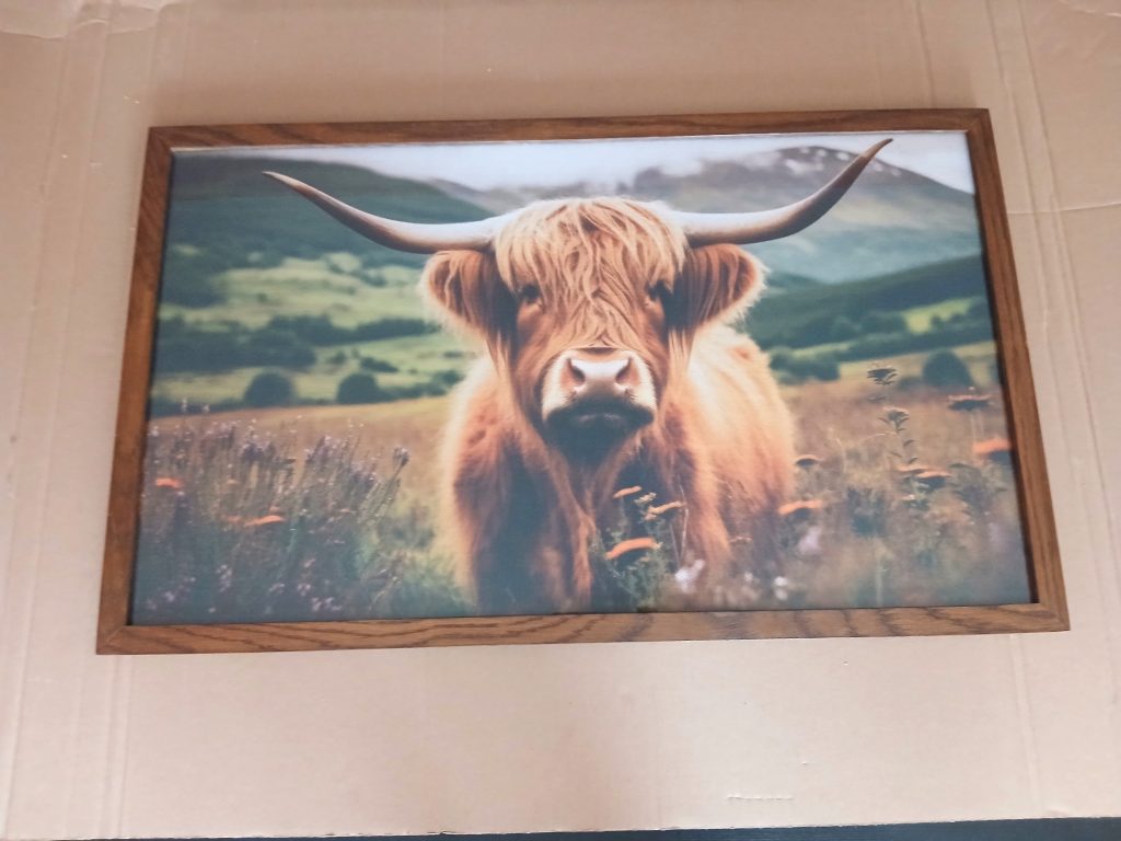 Front-facing rectangular dark oak wood frame resting on a plain cardboard surface. The frame contains a photographic print of a fluffy brown Highland cow with long curved horns standing in a field of wildflowers with green hills in the background.